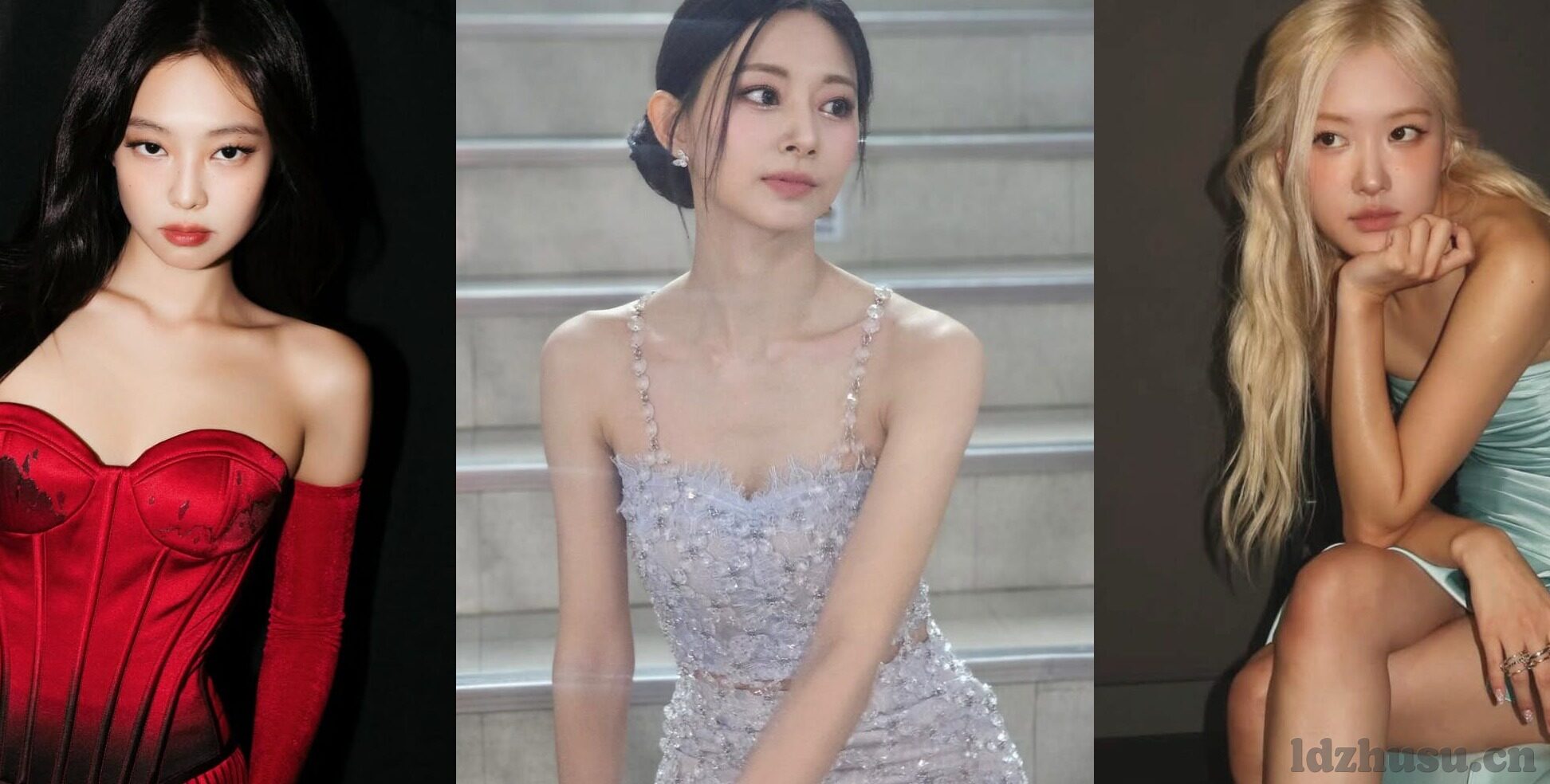 八妻子大象传媒视频-八妻子与大象传媒，文化交融的独特视角