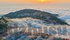 大象传媒链接-大象传媒链接，构建数字时代文化传播的新桥梁