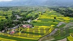 大象视频在线回家地址-探索大象视频的奇妙之旅，解锁在线回家地址的温馨时刻