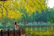 麻豆av无码蜜臀av-探索视觉艺术与边界，一个关于艺术欣赏的深思