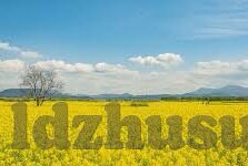 麻豆免费在线视频-麻豆影音，免费在线视频平台的当下与展望