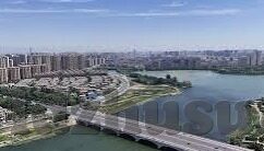 糖心app下载安卓版-独家揭秘糖心APP安卓版下载指南，解锁社交新时尚