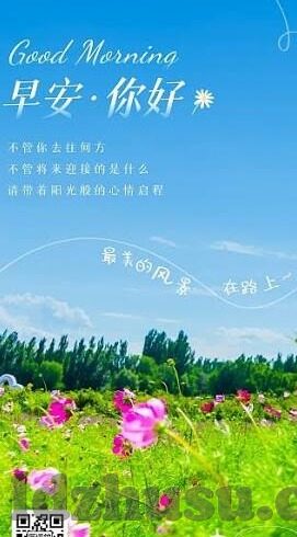 糖心app正版-美学与实用并蓄，深入体验糖心app正版的魅力